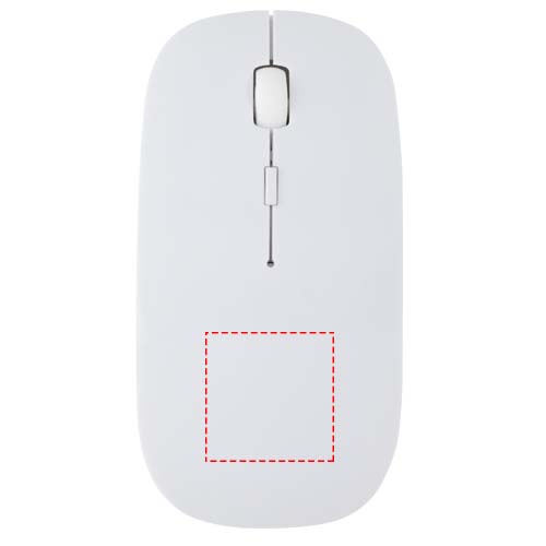 Maus