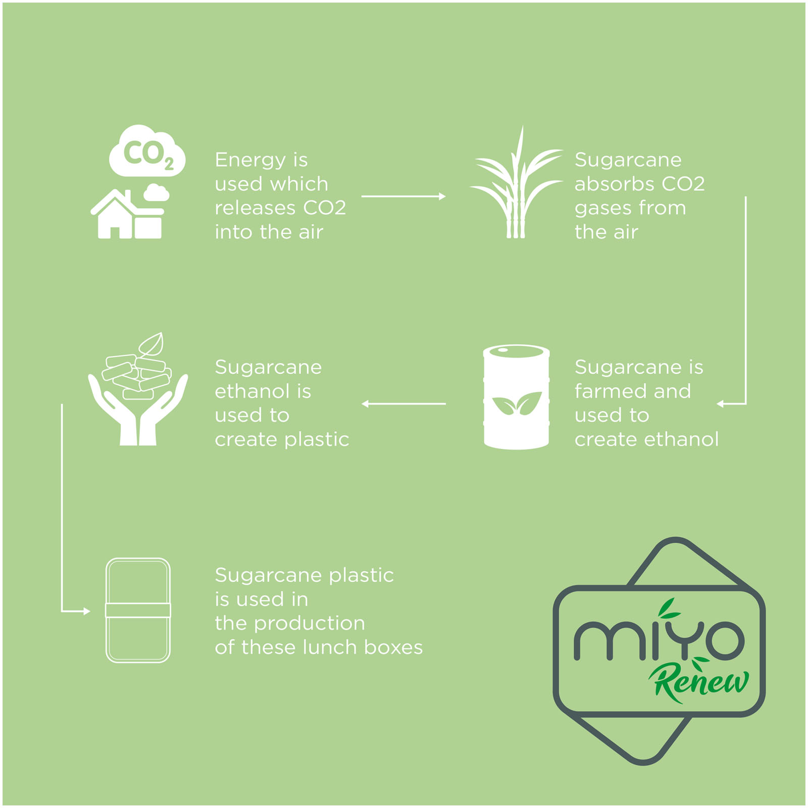 MIYO Renew 700+700 ml Doppel-Lunchbox