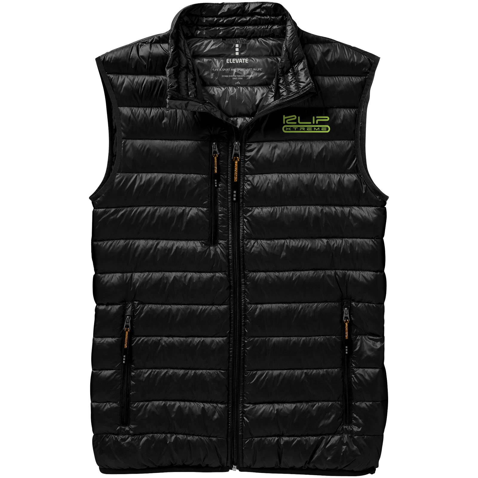 Scotia leichter Daunen-Bodywarmer für Herren