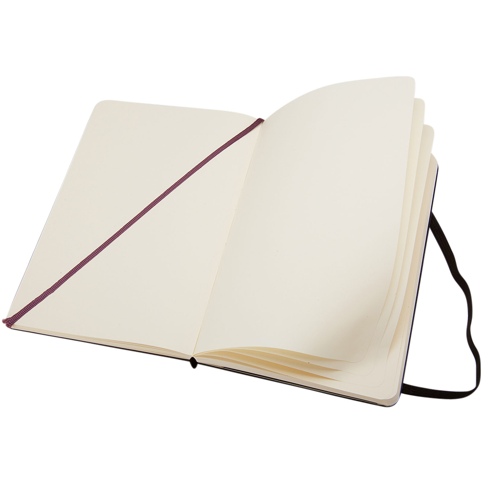 Moleskine Classic Hardcover Notizbuch L – blanko