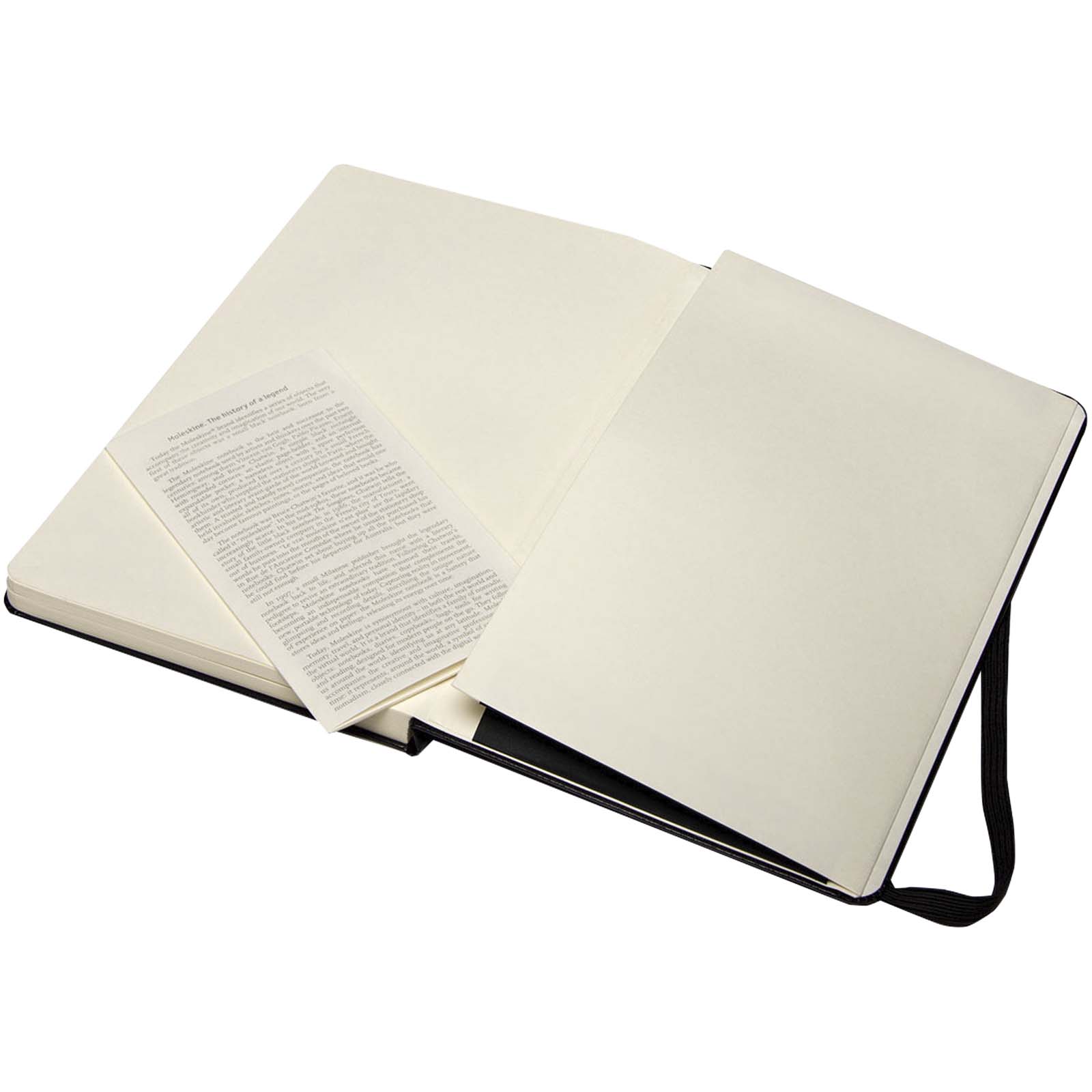 Moleskine Large  Art Skizzenbuch