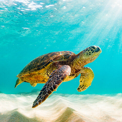 Nachhaltiges Merchandising: 5 Produkte für anspruchsvolle Kunden