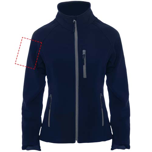 rechter Bizeps