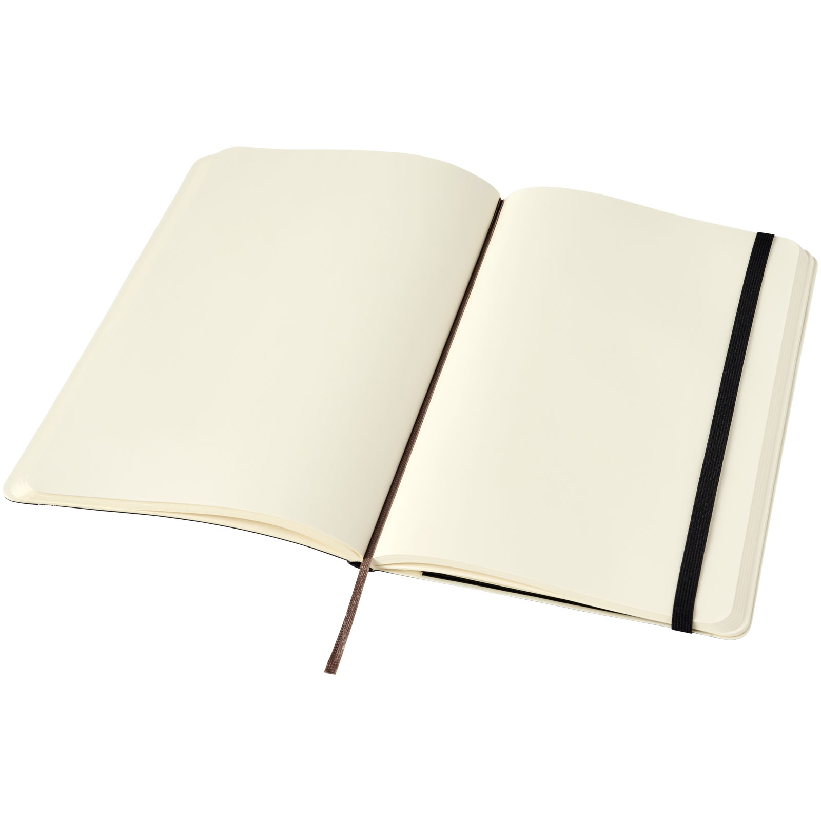 Moleskine Classic Softcover Notizbuch L – blanko