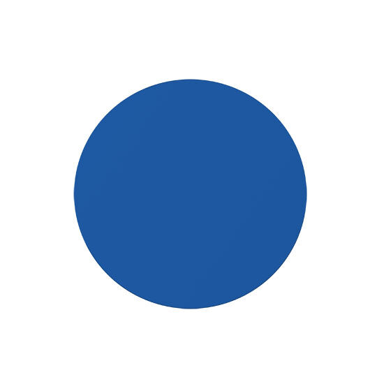 Einkaufswagenchip in 1€ Größe