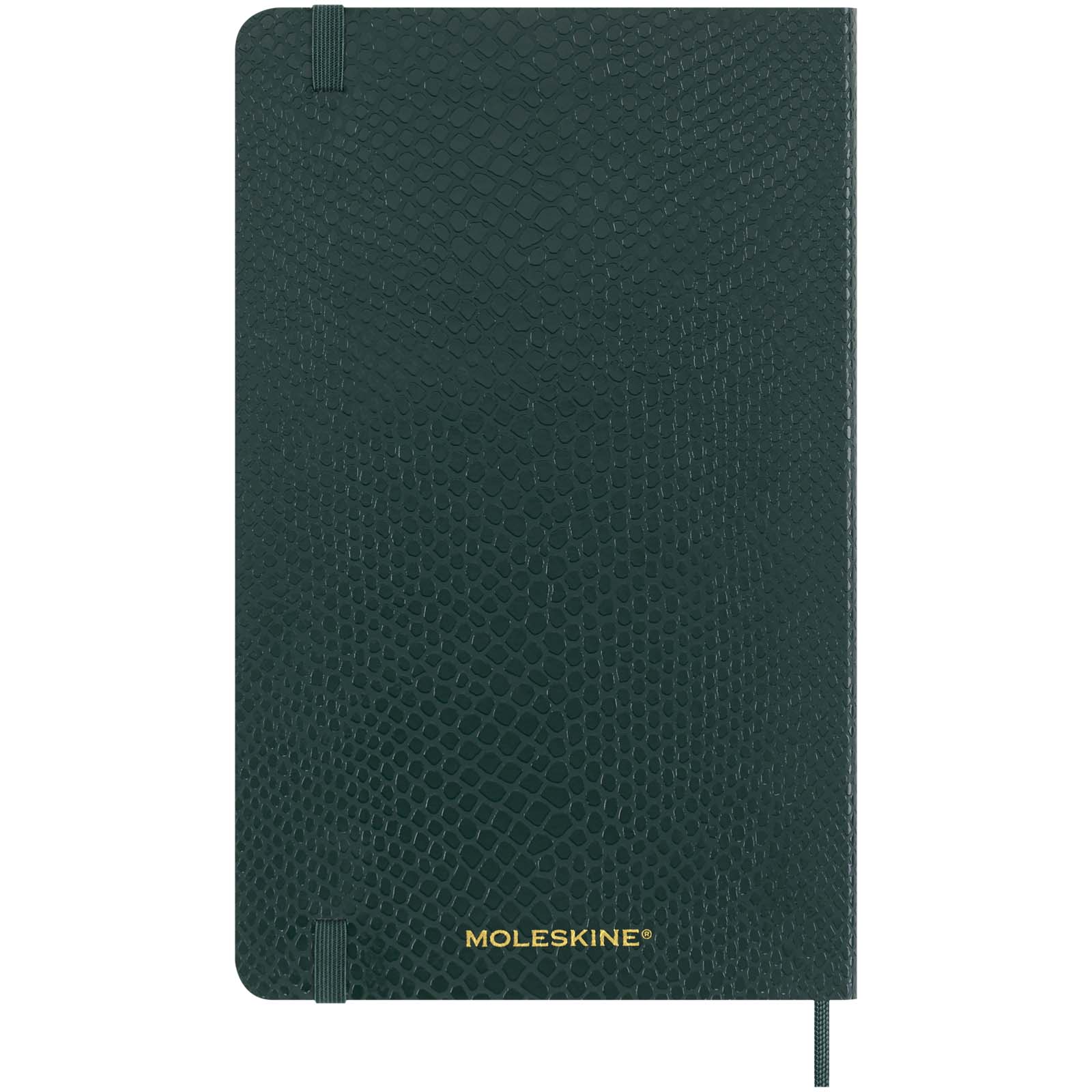 Moleskine 100% VEGEA® Boa Softcover Notizbuch L – liniert