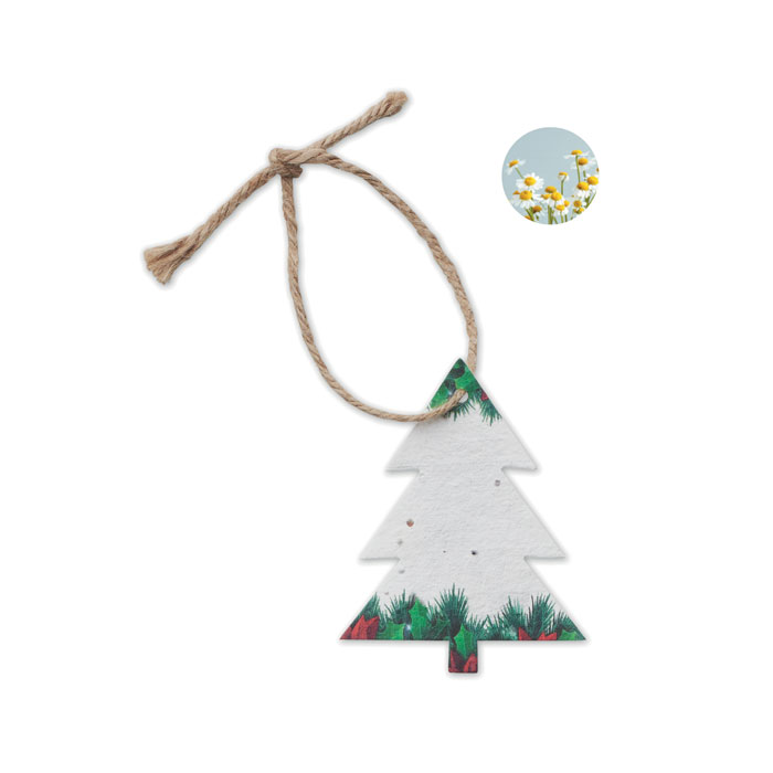 item_picture_front