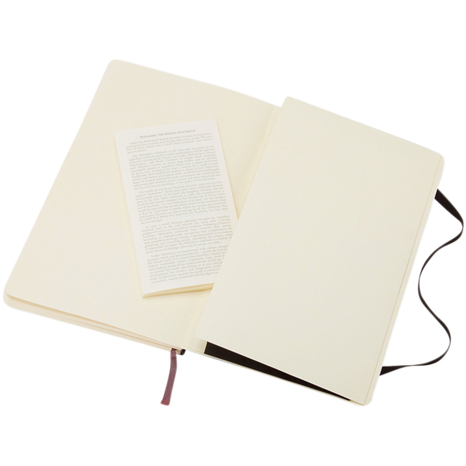 Moleskine Classic Softcover Notizbuch L – liniert