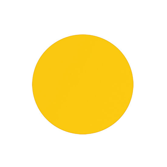 Einkaufswagenchip in 1€ Größe