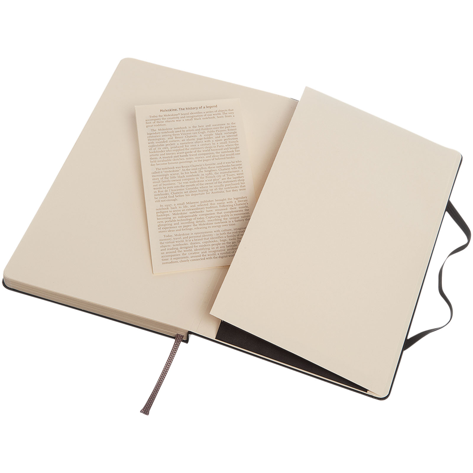 Moleskine Classic Hardcover Notizbuch L – gepunktet