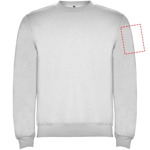 linker Bizeps