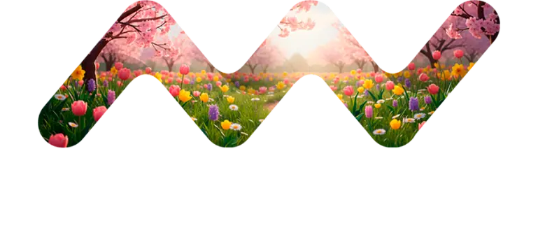 Zur Startseite gehen