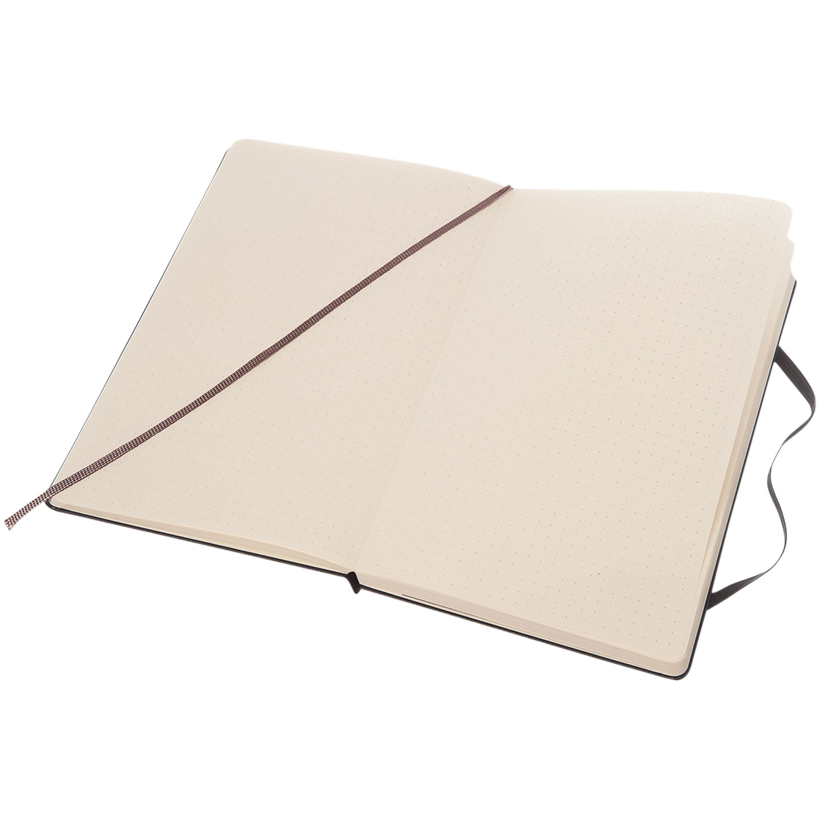 Moleskine Classic Hardcover Notizbuch L – gepunktet