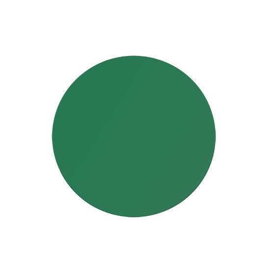 Einkaufswagenchip in 1€ Größe