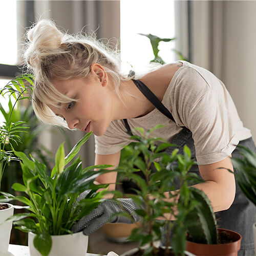 Samen & Pflanzen als Werbeartikel