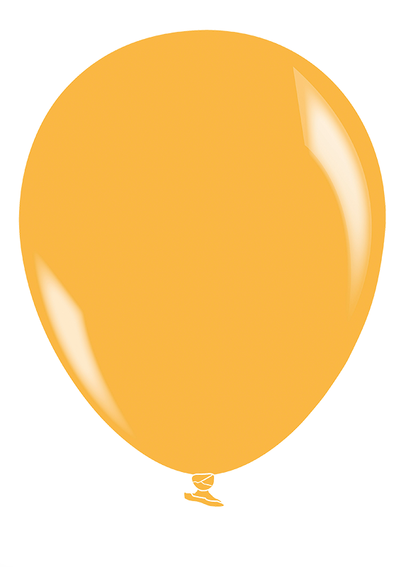 09215TYVBfkoaSNvBN Luftballon Premium transparente Farben
