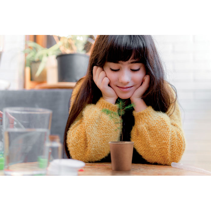 item_ambiant_picture