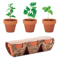 Flowerpot - Terracotta-Set Kräuter